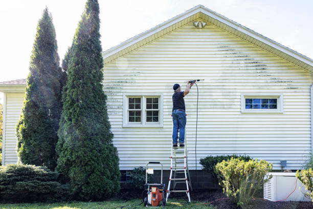 Professional Pressure washing in Woodbine, IA